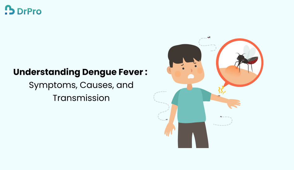 Understanding Dengue Fever: Symptoms, Causes, and Transmission