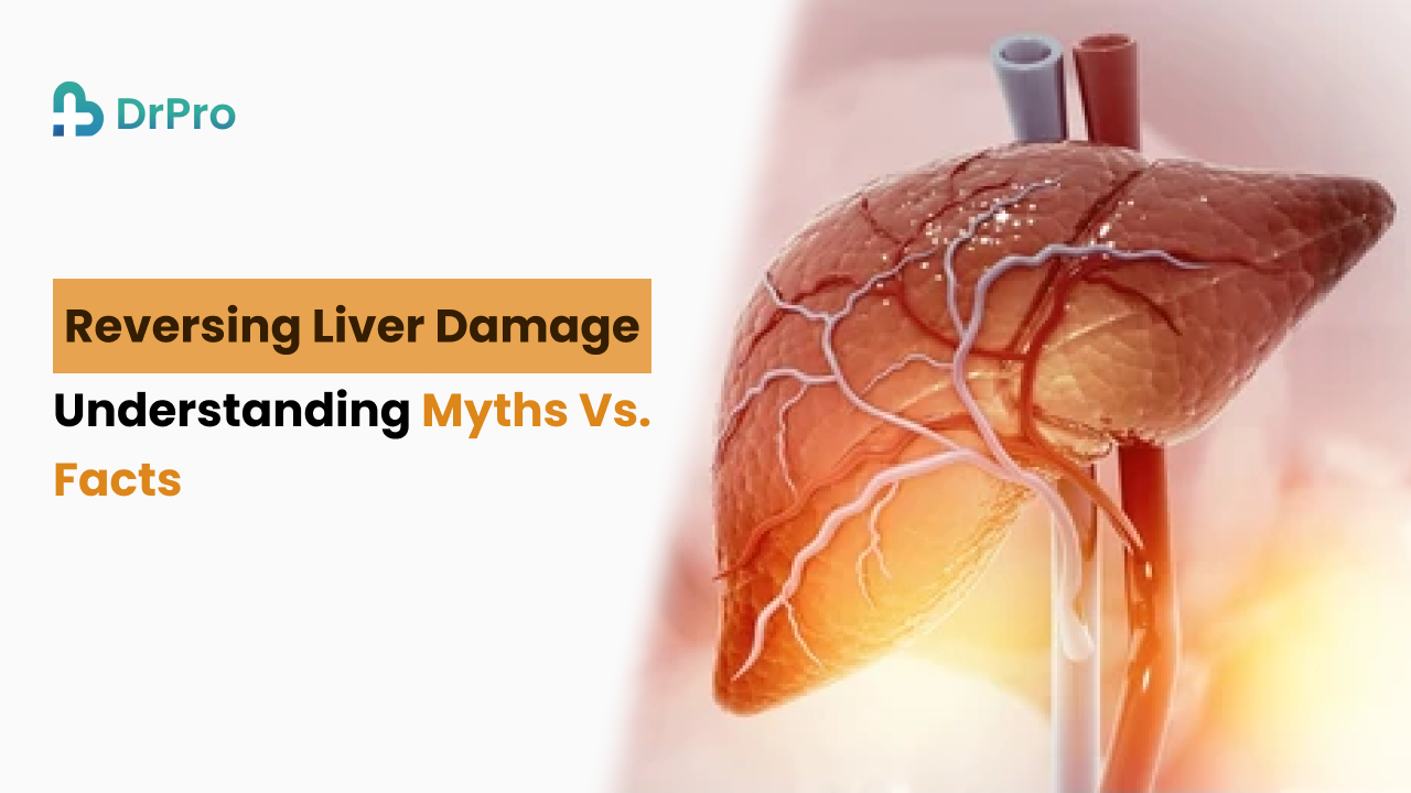 Reversing Liver Damage: Understanding Myths vs. Facts - Wellness DrPro Health