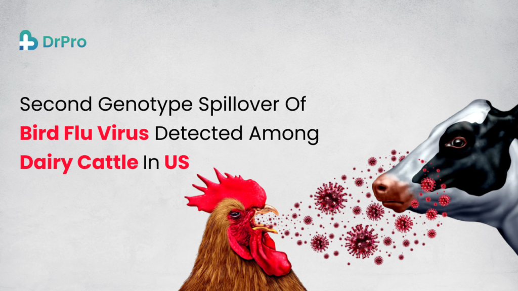 Bird Flu Virus in dairy cattle Second genotype detected in US - Wellness DrPro Health