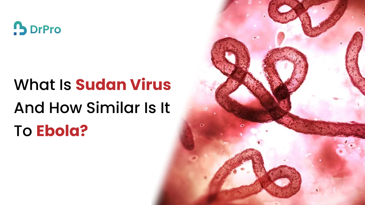 What is Sudan virus outbreak and how similar is it to Ebola - Wellness DrPro Health